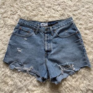 Vintage Express Light Blue Distressed Jean Shorts